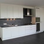 Rent 1 bedroom apartment of 71 m² in BORNEM