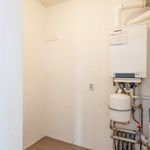 Rent 2 bedroom apartment of 66 m² in Oisterwijk