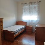 Rent 7 bedroom apartment in Porto
