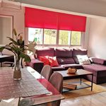 Rent 2 bedroom apartment of 100 m² in Palma