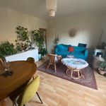 Rent 2 bedroom apartment of 50 m² in Albi
