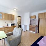 Rent 1 bedroom apartment in Horní Bělá