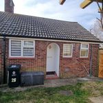 Rent 1 bedroom apartment in Walton-on-the-Naze