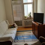Rent 2 bedroom apartment of 50 m² in Freiburg im Breisgau