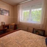 Rent 3 bedroom apartment of 60 m² in Pécs