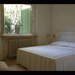 Affitto 1 camera casa in Pietrasanta