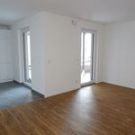 Rent 3 bedroom apartment of 80 m² in Mannheim