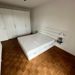 Rent 2 bedroom apartment of 50 m² in Graz