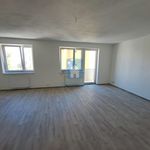Rent 1 bedroom apartment of 45 m² in Pilsen