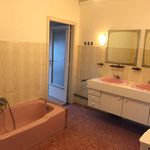 Rent 1 bedroom apartment in Beerse