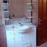 Rent 4 bedroom house of 150 m² in Debrecen