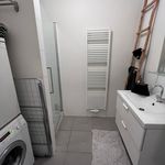 Rent 1 bedroom apartment in Putten