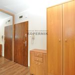 Rent 2 bedroom apartment of 35 m² in Toruń