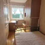 Rent 9 bedroom apartment of 40 m² in Włocławek