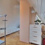 Rent 2 bedroom apartment of 40 m² in Essen