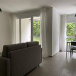 Rent 4 bedroom apartment of 65 m² in Gordola