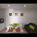 Rent 1 bedroom apartment of 40 m² in Barbas Novas