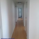 Rent 3 bedroom apartment of 173 m² in Auchenflower