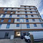 Rent 3 bedroom apartment of 119 m² in Pilsen