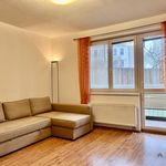 Rent 2 bedroom apartment of 46 m² in Český Brod