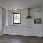 Rent 1 bedroom apartment in Borgloon