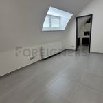 Rent 1 bedroom apartment of 34 m² in Brno