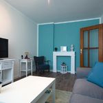 Rent 2 bedroom apartment of 53 m² in Essen