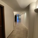 Rent 4 bedroom apartment of 157 m² in Collina d'Oro