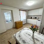 Rent 4 bedroom house in Zelenec