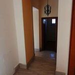 Rent 1 bedroom apartment of 180 m² in Sparanise