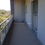 Rent 2 bedroom apartment of 71 m² in Frosinone