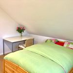 Rent 5 bedroom apartment of 80 m² in Dieburg