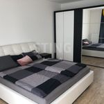 Rent 3 bedroom apartment of 97 m² in Ostrava