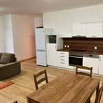 Rent 2 bedroom apartment in  Stodůlky                        					