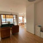 Rent 2 bedroom apartment of 78 m² in Torino