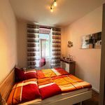 Rent 3 bedroom apartment of 62 m² in Leoben