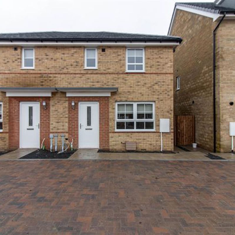 Semi-detached house to rent in Clematis Court, West Meadows, Cramlington NE23 Collingwood Chase