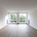 Rent 1 bedroom apartment of 41 m² in Delft