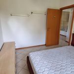 Rent 2 bedroom apartment of 47 m² in Mentana