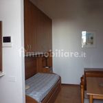 Affitto 1 camera appartamento di 28 m² in Novara