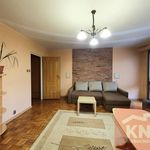 Rent 2 bedroom apartment of 48 m² in Bełchatów gmina