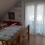 Rent 3 bedroom apartment of 65 m² in Regensburg