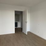 Rent 2 bedroom apartment of 41 m² in Toulouse