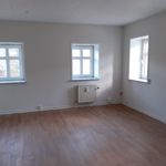 Rent 1 bedroom apartment of 35 m² in Hjørring