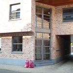 Rent 1 bedroom apartment in Kapelle-op-den-Bos