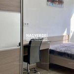 Rent 3 bedroom apartment of 69 m² in Debrecen