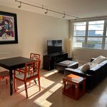Rent 1 bedroom apartment of 545 m² in Miami Beach