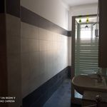 Rent 3 bedroom apartment of 80 m² in Melzo