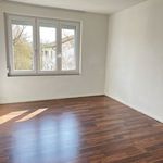 Rent 1 bedroom apartment in Solothurn