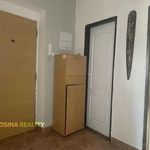 Rent 3 bedroom apartment in Sokolov